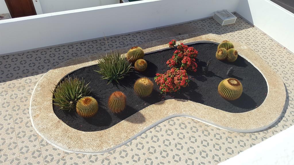 Panelo Cactus Apartment Puerto del Carmen  Buitenkant foto